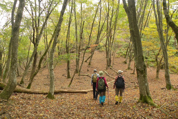 大栗峠（里山から古道へ）募集中です