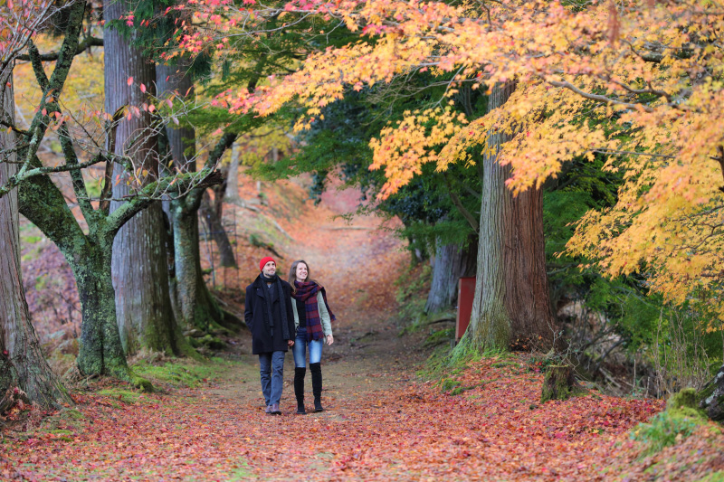 秋の観光情報「紅葉だより」の発信を開始します