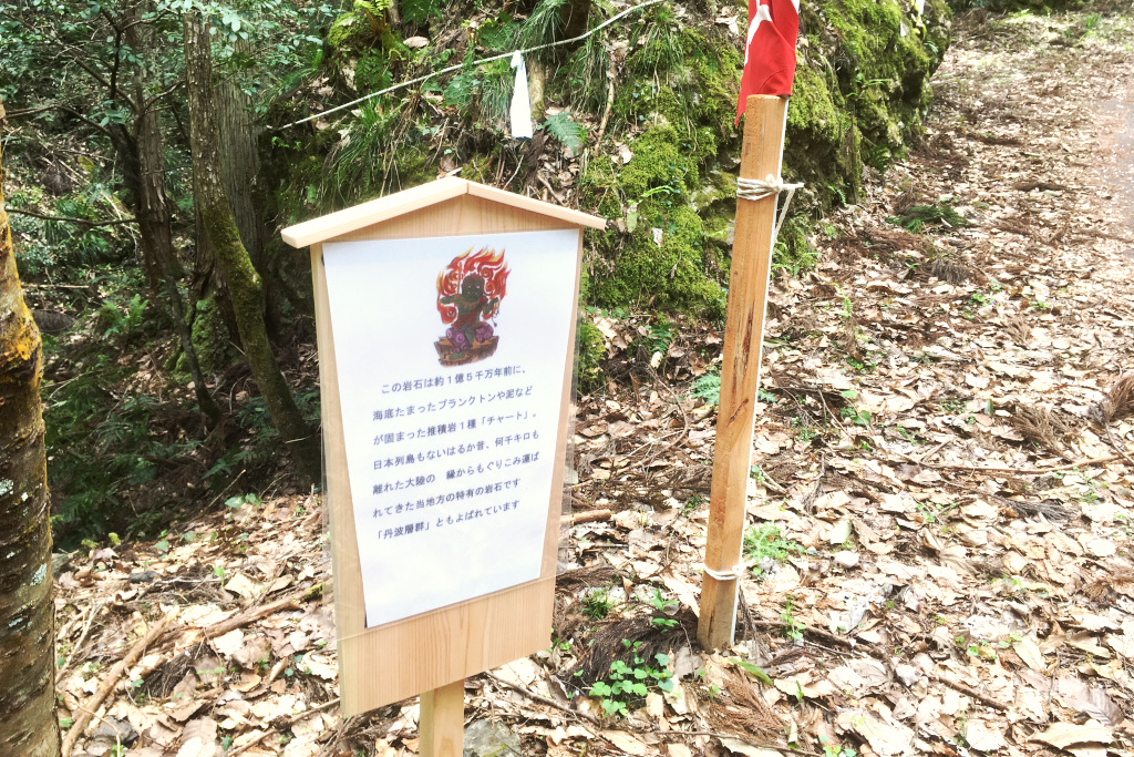 丹波層群