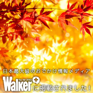 安国寺の紅葉をWalkerplusでご紹介いただきました。