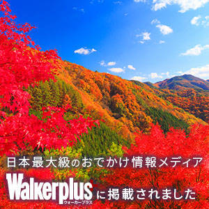 安国寺の紅葉をWalkerplusでご紹介いただきました。