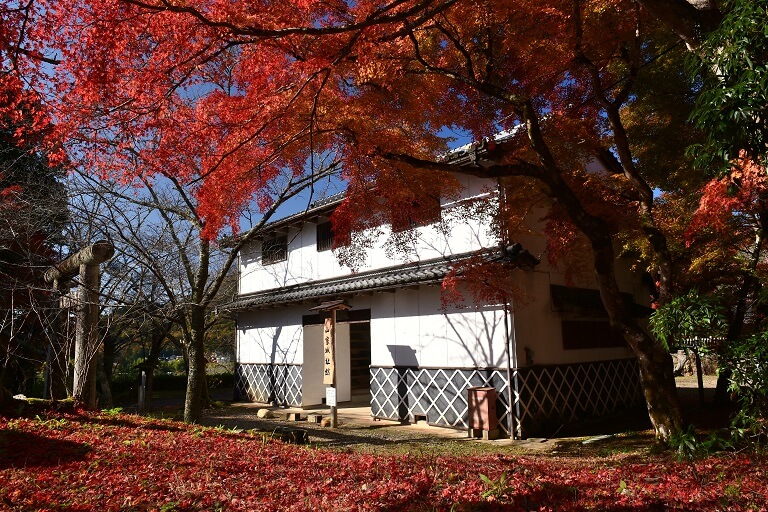 紅葉に彩ろられた田舎家 紅葉だより | 綾部市観光ガイド