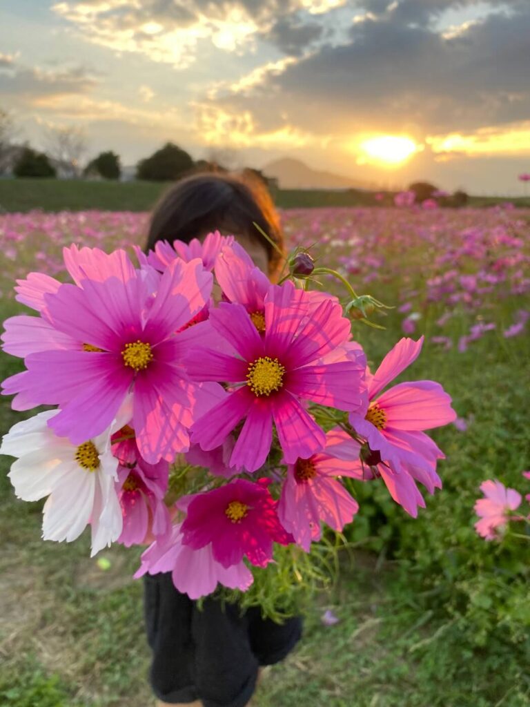 令和4年度入選「ママ♡だいすき♡♡〜娘がコスモスの花束を〜」