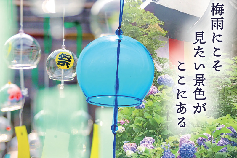 綾部あじさい風鈴祭り