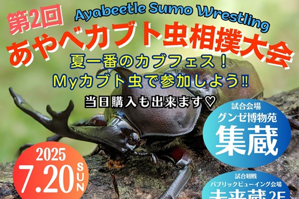 第2回あやべカブト虫相撲大会