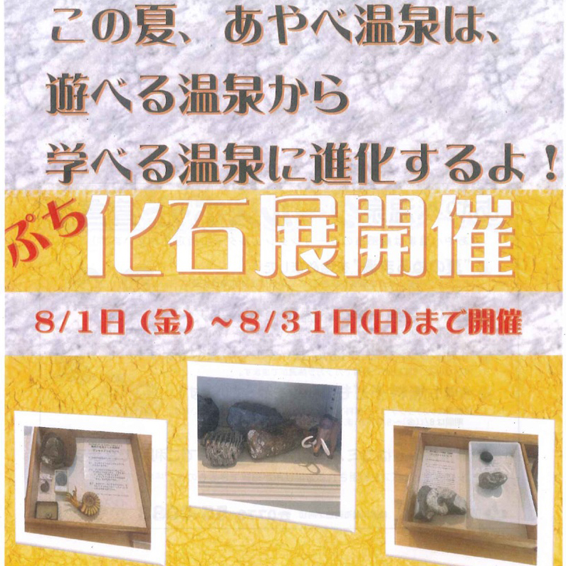あやべ温泉で「ぷち 化石展」を開催