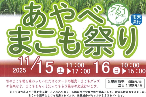 あやべまこも祭り