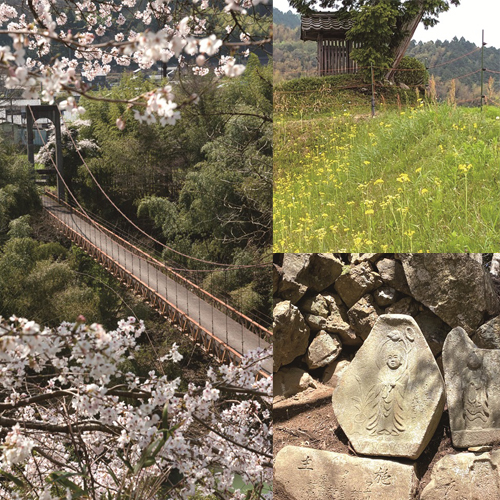 春のハイキングツアー参加者募集のお知らせ