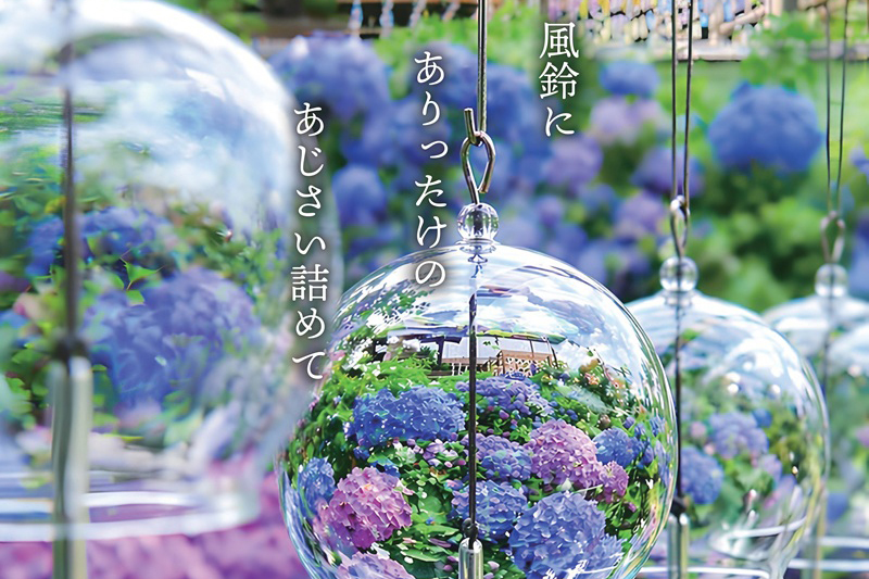 あじさい風鈴祭り
