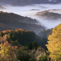 君尾山、雲海<br>オリジナルデータ:5236px 3490px 22.6MB