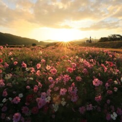 由良川花庭園<br>オリジナルデータ:6720px 4480px 20.7MB
