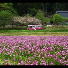 蓮華畑とあやバス<br>オリジナルデータ:4311px 3000px 10.2MB